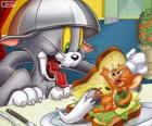 Tom ve Jerry onların çatışmaların bir başka